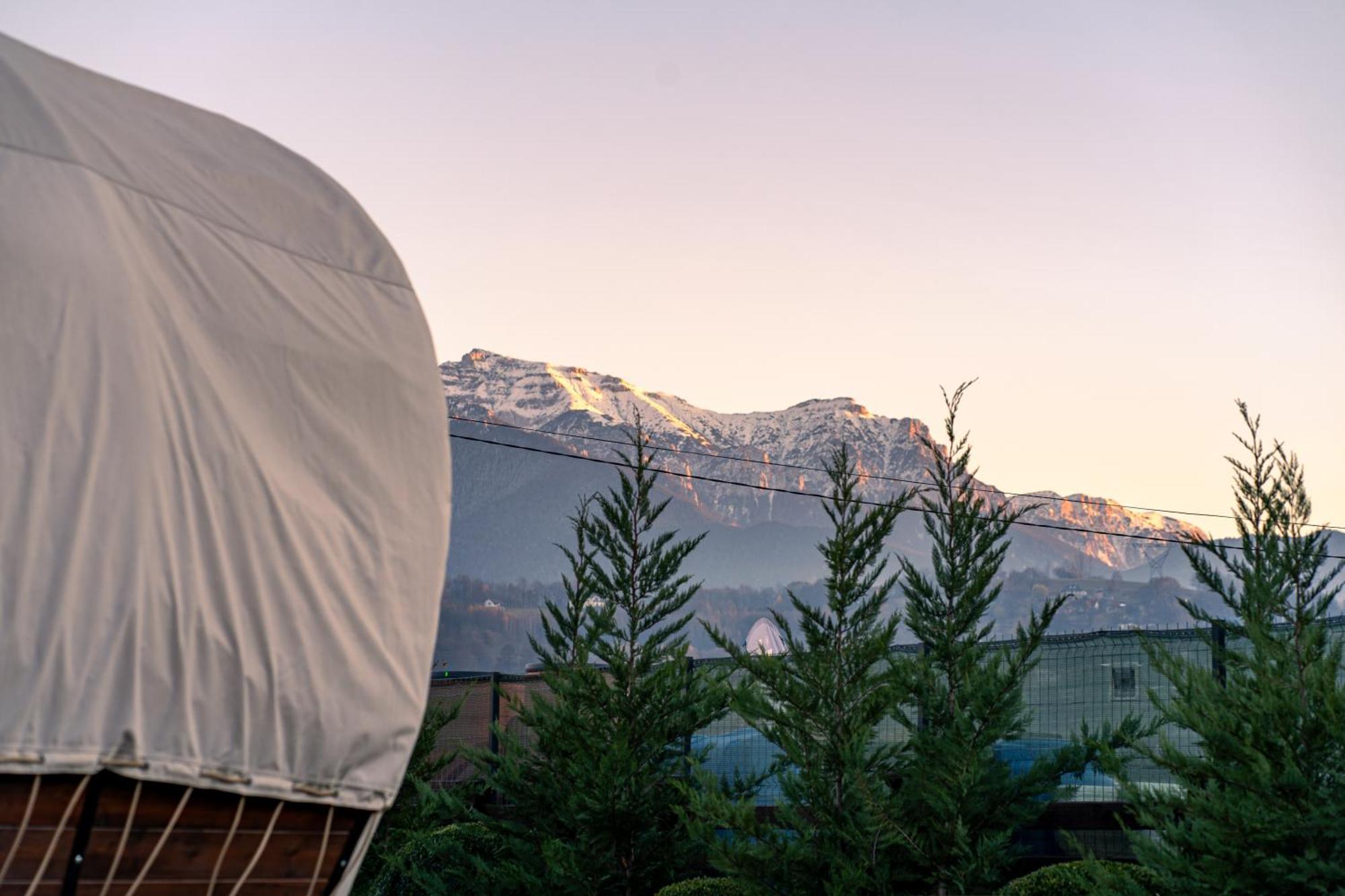 Glamp In Style Pods Resort برانْ المظهر الخارجي الصورة